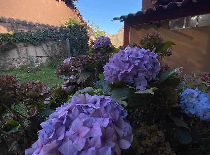 Sonqo Andino Medicina - La Rinconada Hospedagem domiciliar